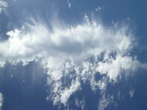 Cirrus Cirrus